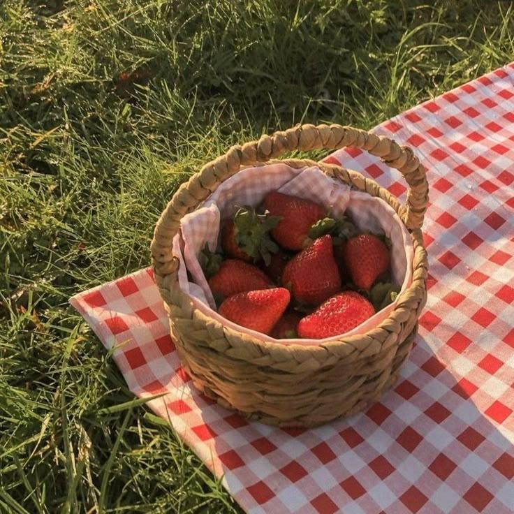 Nature's Berried Treasures: Pure Harvest Delight